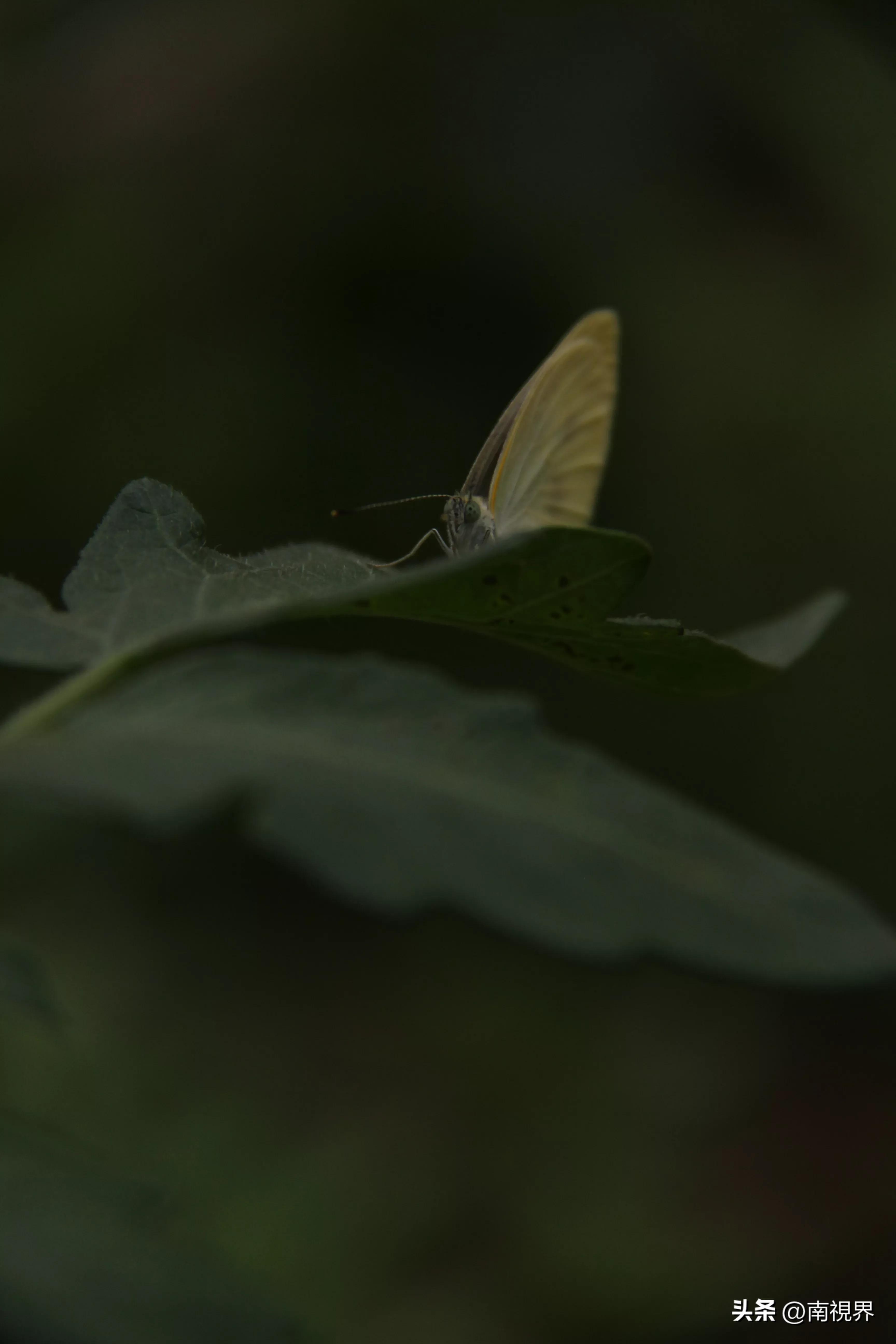 娱乐生活 第13页