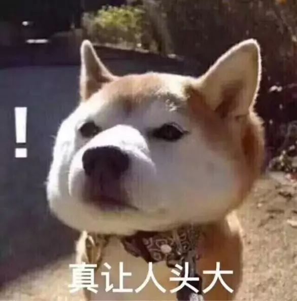 狗撕作业表情包狗撕作业表情包，网络流行文化的新宠