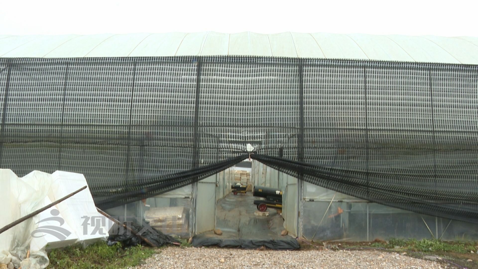 和平鸽住空调房鸽笼和平鸽住空调房鸽笼，一种人与自然和谐共生的理想生活模式
